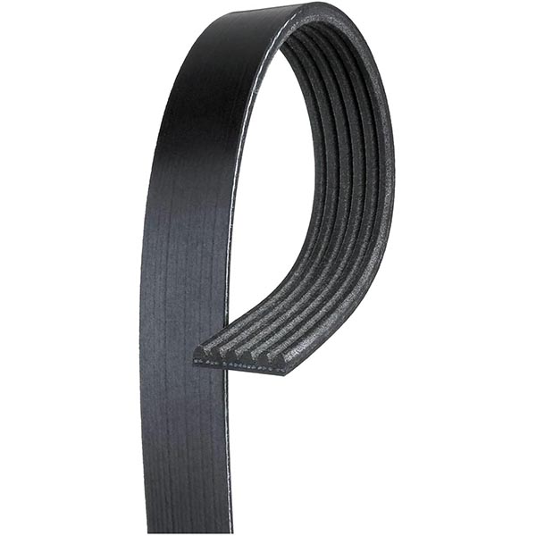 PKbelt